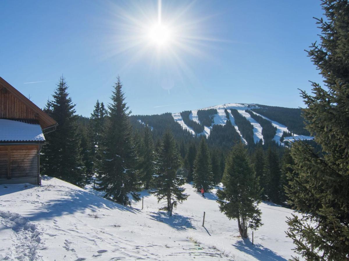 Beautiful Holiday Home In Weinebene With Sauna Posch Alpe ภายนอก รูปภาพ