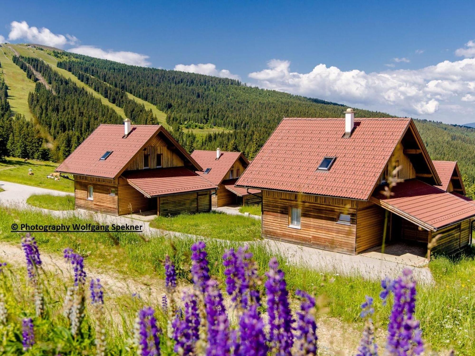 Beautiful Holiday Home In Weinebene With Sauna Posch Alpe ภายนอก รูปภาพ