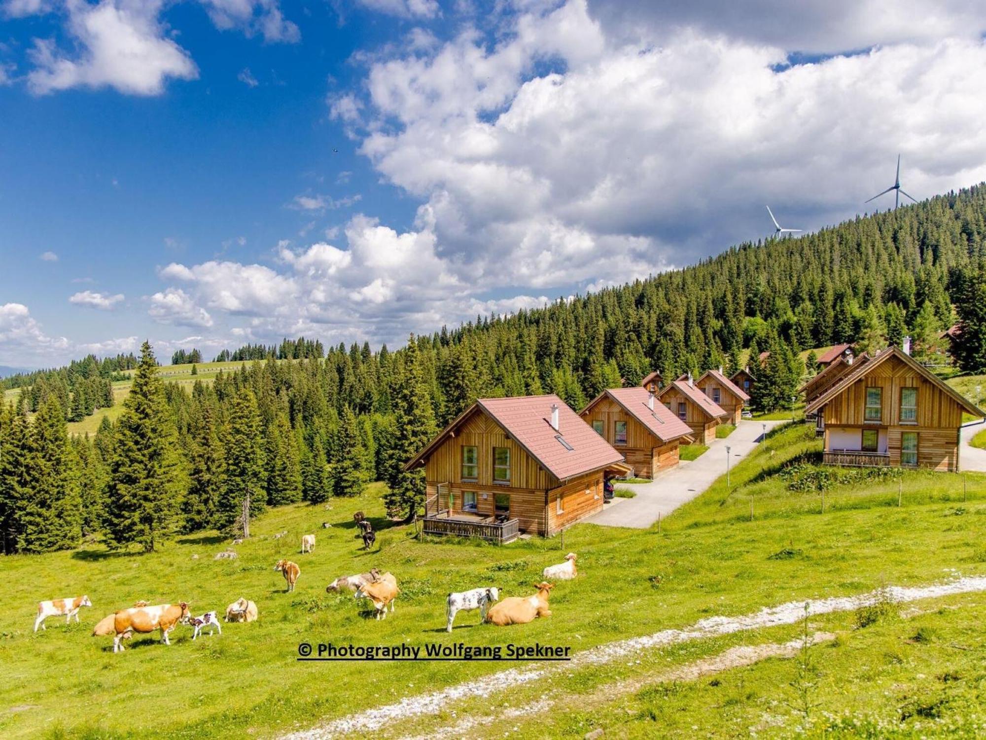 Beautiful Holiday Home In Weinebene With Sauna Posch Alpe ภายนอก รูปภาพ